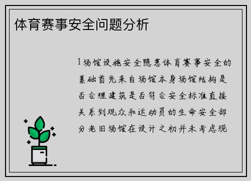 体育赛事安全问题分析